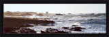 Buy Cote Sauvage at AllPosters.com
