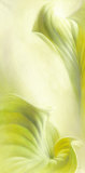 Buy Here Comes the Sun II at AllPosters.com