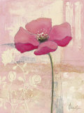 Buy Verzauberter Mohn II at AllPosters.com