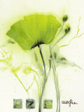 Buy Coquelicot Vert I at AllPosters.com