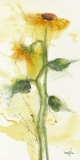 Buy Tournesol II at AllPosters.com
