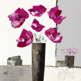 Buy Pivoines Roses I at AllPosters.com
