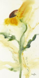 Buy Tournesol I at AllPosters.com