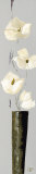 Buy Contraste Floral I at AllPosters.com