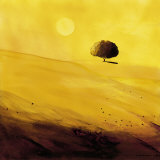 Buy Bir Yaz Gunu at AllPosters.com