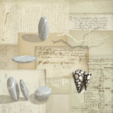 Buy Galets et Coquillages at AllPosters.com
