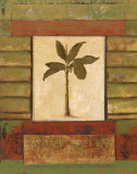 Buy Classic Palm II at AllPosters.com