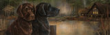 Loyal Companion