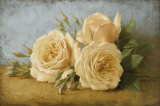 Roses from Ivan