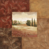 Buy Poppy Fields II at AllPosters.com