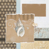 Shell Collage II