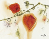 Buy Lampions I at AllPosters.com