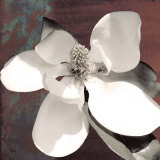 Buy Magnolia Blue I at AllPosters.com