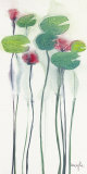 Buy Nympheas V at AllPosters.com