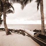 Buy Paradise Found III at AllPosters.com