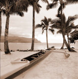 Buy Paradise Found I at AllPosters.com