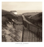 Buy Dune Fence at AllPosters.com