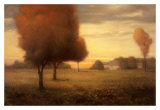 Buy The Middle Times at AllPosters.com