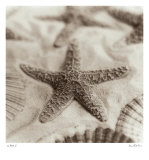 La Mer II