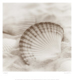 La Mer III