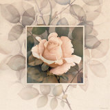 Buy Rose I at AllPosters.com