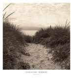 Buy Dune Path at AllPosters.com