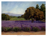 Buy Lavender Fields at AllPosters.com