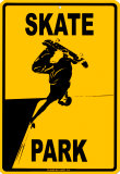 Buy Skate Park at AllPosters.com