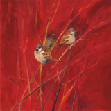 Crimson Sparrows II