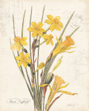 March Daffodil Art Print