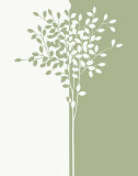 Arbor II