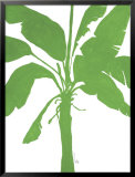 Silhouette of Palm II