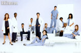 Buy Grey's Anatomy at AllPosters.com