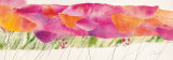 Buy Poppy Ribbon Pink at AllPosters.com