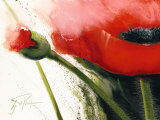 Buy Faszination Mohn I at AllPosters.com