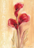 Dreamy Callas