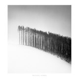 Buy Forest Edge, Hokuto, Hokkaido, Japan, 2004 at AllPosters.com
