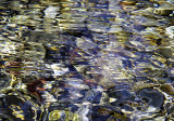 Buy Liquids I at AllPosters.com