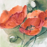 Buy Mohnbluten at AllPosters.com