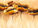Buy Samt Symphonie at AllPosters.com
