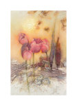 Buy Tulpen at AllPosters.com