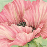 Buy Pink Poppy Flower Head at AllPosters.com