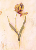 Buy Lilas Composicion VII (detail) at AllPosters.com