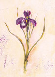 Buy Lilas Composicion V (detail) at AllPosters.com