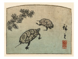 Meeting of Two Turtles