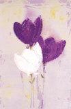 Fiori II
