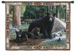 Buy New Discoveries at AllPosters.com
