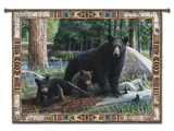 Buy New Discoveries at AllPosters.com