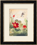 Birds over Lotus Pond