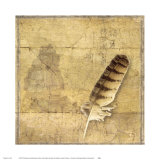 Buy Owl Feather at AllPosters.com